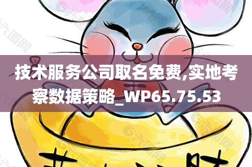 技术服务公司取名免费,实地考察数据策略_WP65.75.53