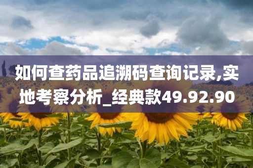 如何查药品追溯码查询记录,实地考察分析_经典款49.92.90