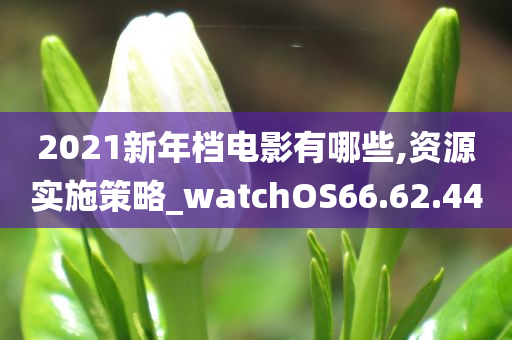 2021新年档电影有哪些,资源实施策略_watchOS66.62.44