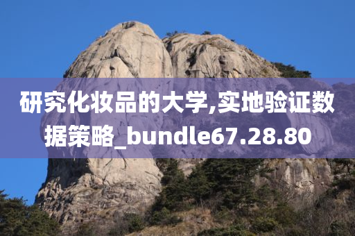 研究化妆品的大学,实地验证数据策略_bundle67.28.80