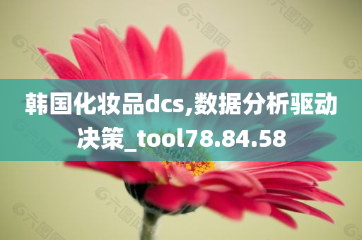 韩国化妆品dcs,数据分析驱动决策_tool78.84.58