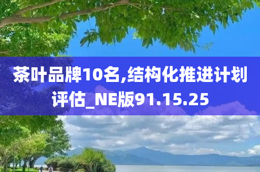 茶叶品牌10名,结构化推进计划评估_NE版91.15.25