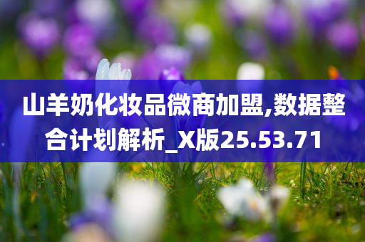 山羊奶化妆品微商加盟,数据整合计划解析_X版25.53.71