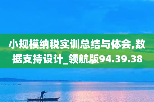 小规模纳税实训总结与体会,数据支持设计_领航版94.39.38