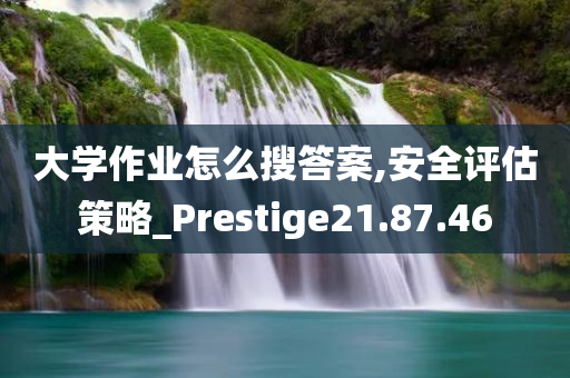 大学作业怎么搜答案,安全评估策略_Prestige21.87.46