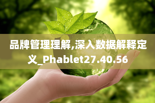 品牌管理理解,深入数据解释定义_Phablet27.40.56