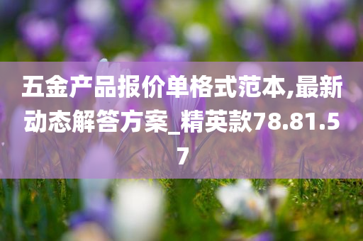 五金产品报价单格式范本,最新动态解答方案_精英款78.81.57