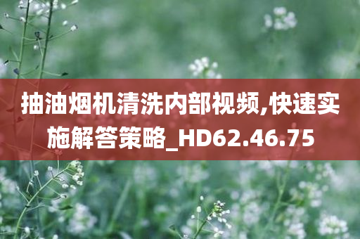 抽油烟机清洗内部视频,快速实施解答策略_HD62.46.75