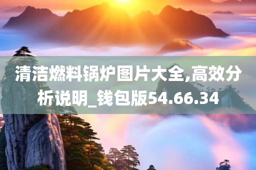 清洁燃料锅炉图片大全,高效分析说明_钱包版54.66.34