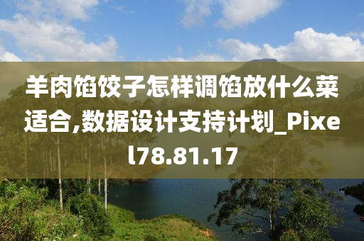 羊肉馅饺子怎样调馅放什么菜适合,数据设计支持计划_Pixel78.81.17