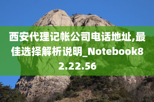 西安代理记帐公司电话地址,最佳选择解析说明_Notebook82.22.56