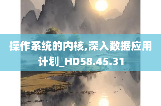 操作系统的内核,深入数据应用计划_HD58.45.31