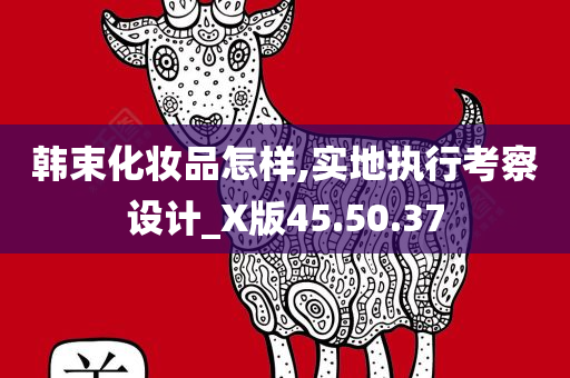 韩束化妆品怎样,实地执行考察设计_X版45.50.37