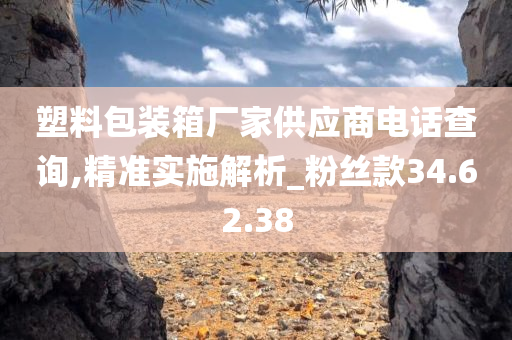 塑料包装箱厂家供应商电话查询,精准实施解析_粉丝款34.62.38