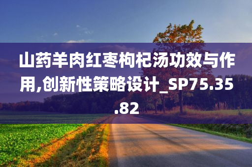 山药羊肉红枣枸杞汤功效与作用,创新性策略设计_SP75.35.82