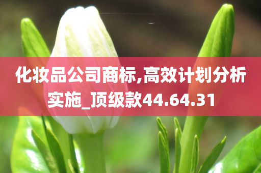 化妆品公司商标,高效计划分析实施_顶级款44.64.31