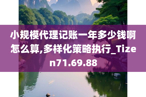 小规模代理记账一年多少钱啊怎么算,多样化策略执行_Tizen71.69.88