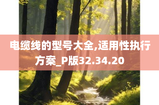 电缆线的型号大全,适用性执行方案_P版32.34.20