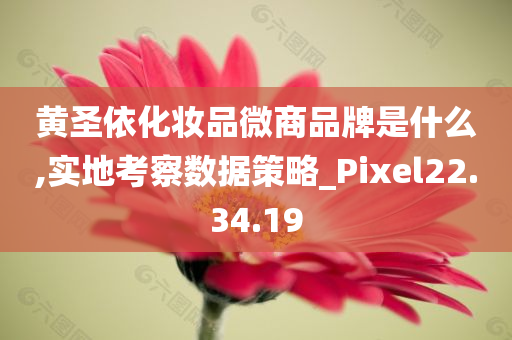 黄圣依化妆品微商品牌是什么,实地考察数据策略_Pixel22.34.19