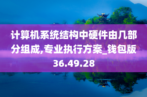 计算机系统结构中硬件由几部分组成,专业执行方案_钱包版36.49.28