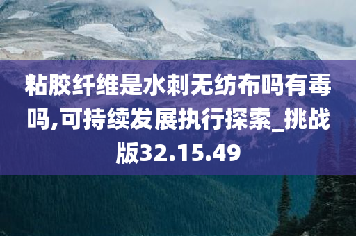 粘胶纤维是水刺无纺布吗有毒吗,可持续发展执行探索_挑战版32.15.49