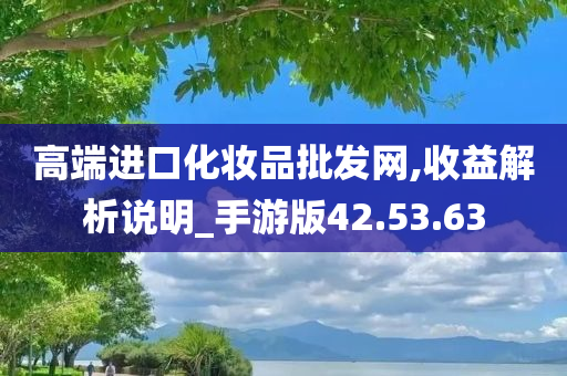 高端进口化妆品批发网,收益解析说明_手游版42.53.63