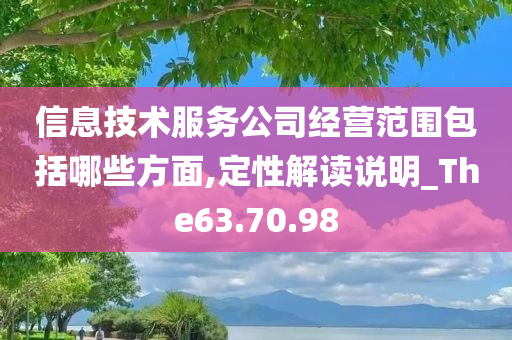 信息技术服务公司经营范围包括哪些方面,定性解读说明_The63.70.98