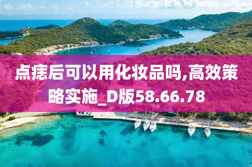 点痣后可以用化妆品吗,高效策略实施_D版58.66.78