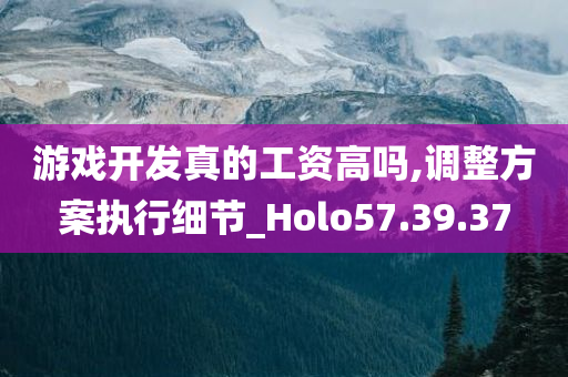 游戏开发真的工资高吗,调整方案执行细节_Holo57.39.37