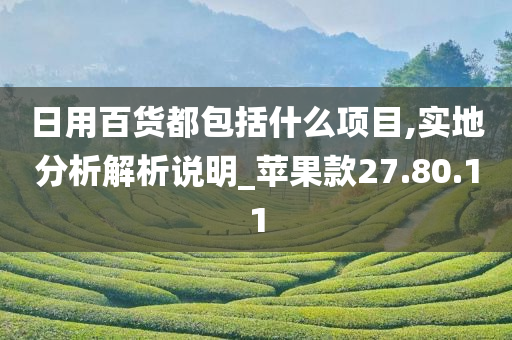 日用百货都包括什么项目,实地分析解析说明_苹果款27.80.11