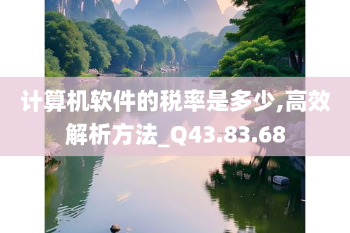 计算机软件的税率是多少,高效解析方法_Q43.83.68