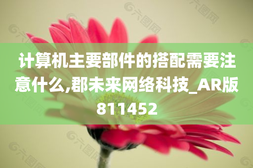 计算机主要部件的搭配需要注意什么,郡未来网络科技_AR版811452