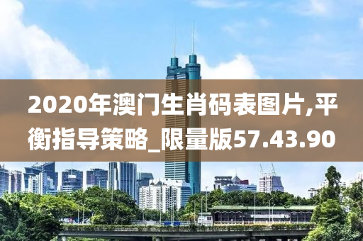 2020年澳门生肖码表图片,平衡指导策略_限量版57.43.90