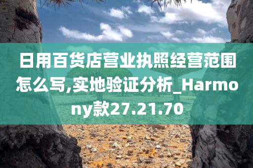 日用百货店营业执照经营范围怎么写,实地验证分析_Harmony款27.21.70