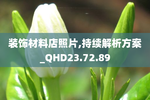 装饰材料店照片,持续解析方案_QHD23.72.89