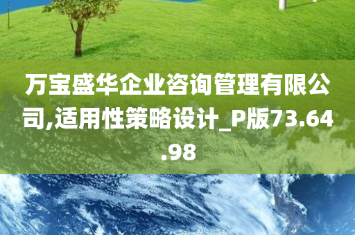 万宝盛华企业咨询管理有限公司,适用性策略设计_P版73.64.98