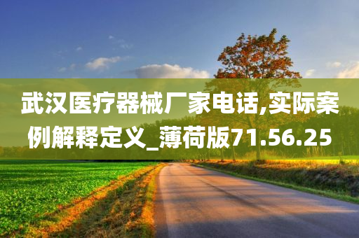 武汉医疗器械厂家电话,实际案例解释定义_薄荷版71.56.25