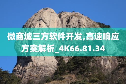 微商城三方软件开发,高速响应方案解析_4K66.81.34