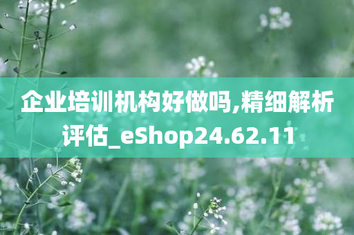 企业培训机构好做吗,精细解析评估_eShop24.62.11