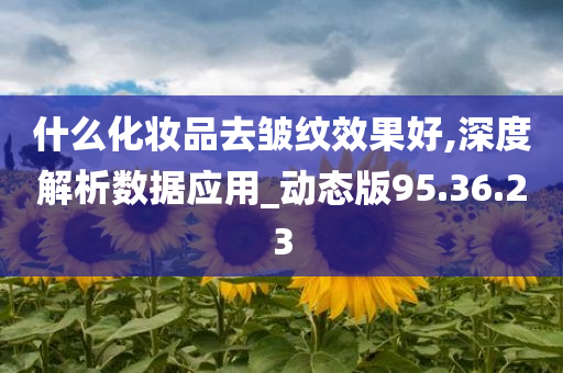 什么化妆品去皱纹效果好,深度解析数据应用_动态版95.36.23