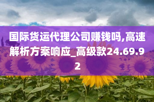 国际货运代理公司赚钱吗,高速解析方案响应_高级款24.69.92