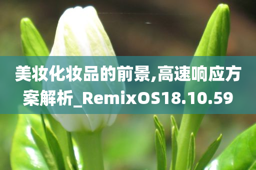 美妆化妆品的前景,高速响应方案解析_RemixOS18.10.59