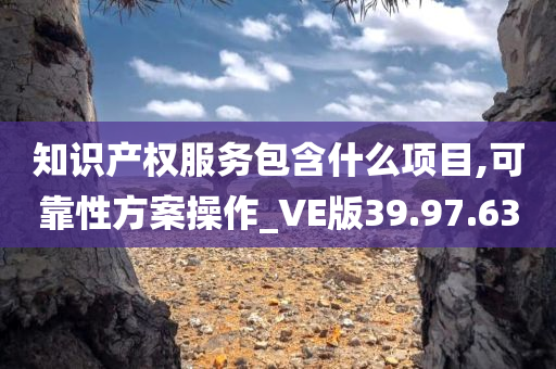 知识产权服务包含什么项目,可靠性方案操作_VE版39.97.63