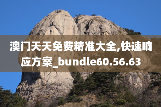 澳门天天免费精准大全,快速响应方案_bundle60.56.63