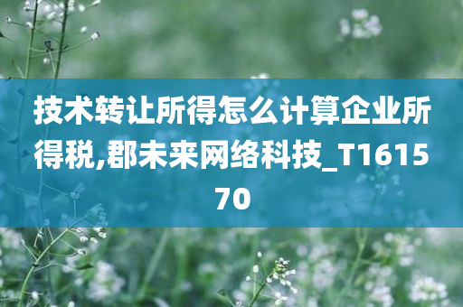 技术转让所得怎么计算企业所得税,郡未来网络科技_T161570