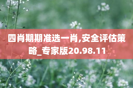 四肖期期准选一肖,安全评估策略_专家版20.98.11