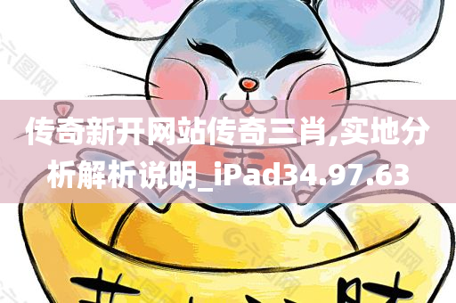 传奇新开网站传奇三肖,实地分析解析说明_iPad34.97.63