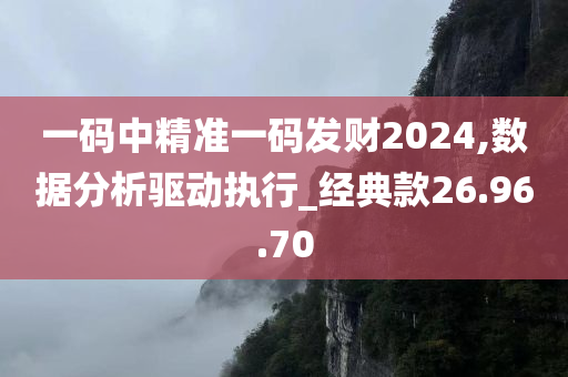 一码中精准一码发财2024,数据分析驱动执行_经典款26.96.70