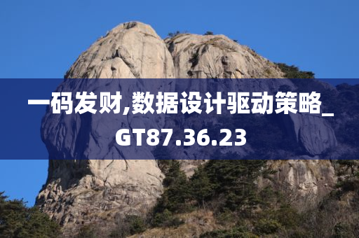 一码发财,数据设计驱动策略_GT87.36.23