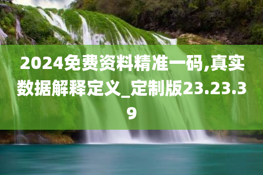 2024免费资料精准一码,真实数据解释定义_定制版23.23.39